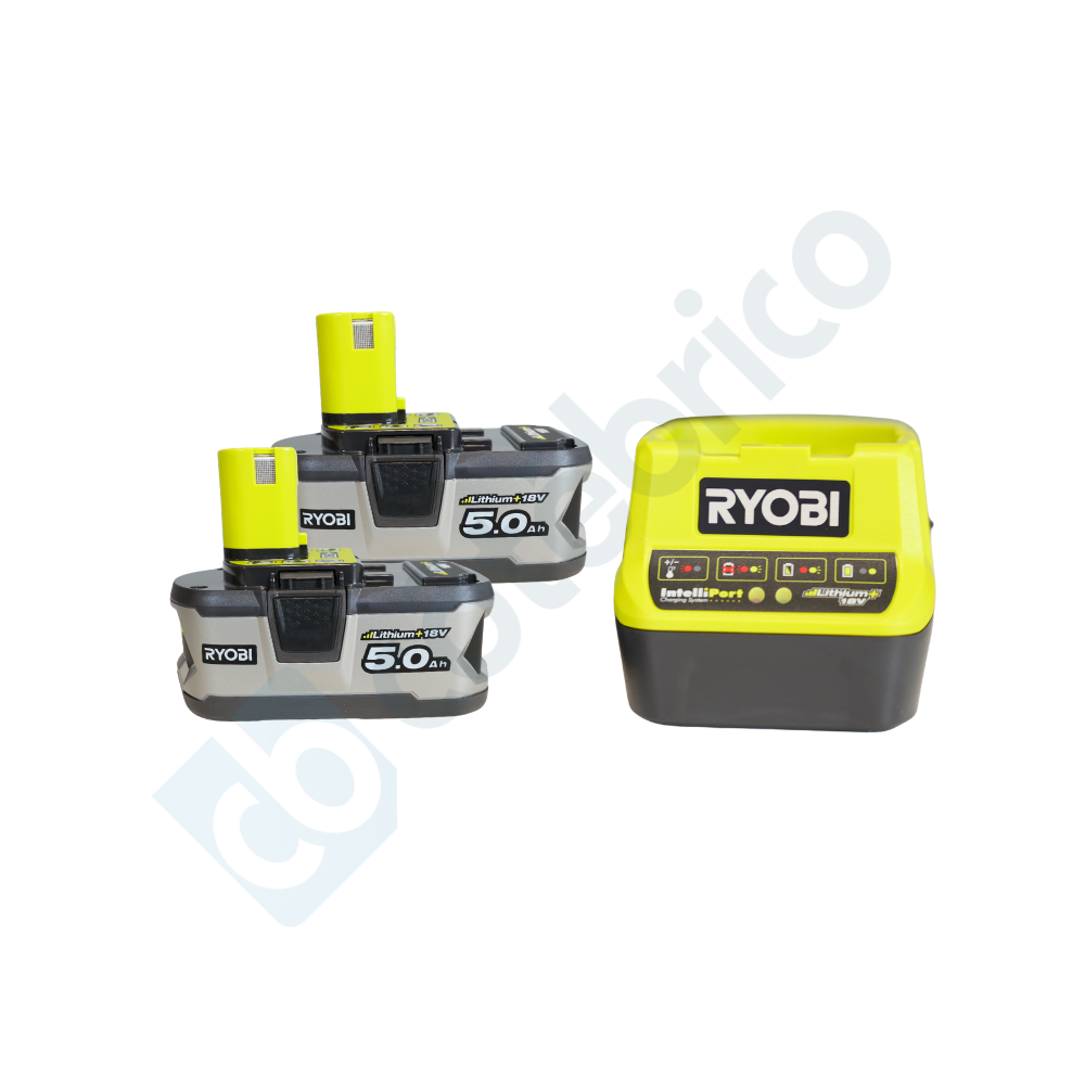 Pack batteries et chargeur Ryobi 5133006919