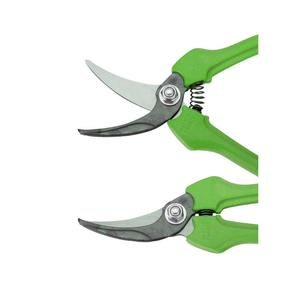 Sécateur de vendange Bahco P123-GREEN-B6