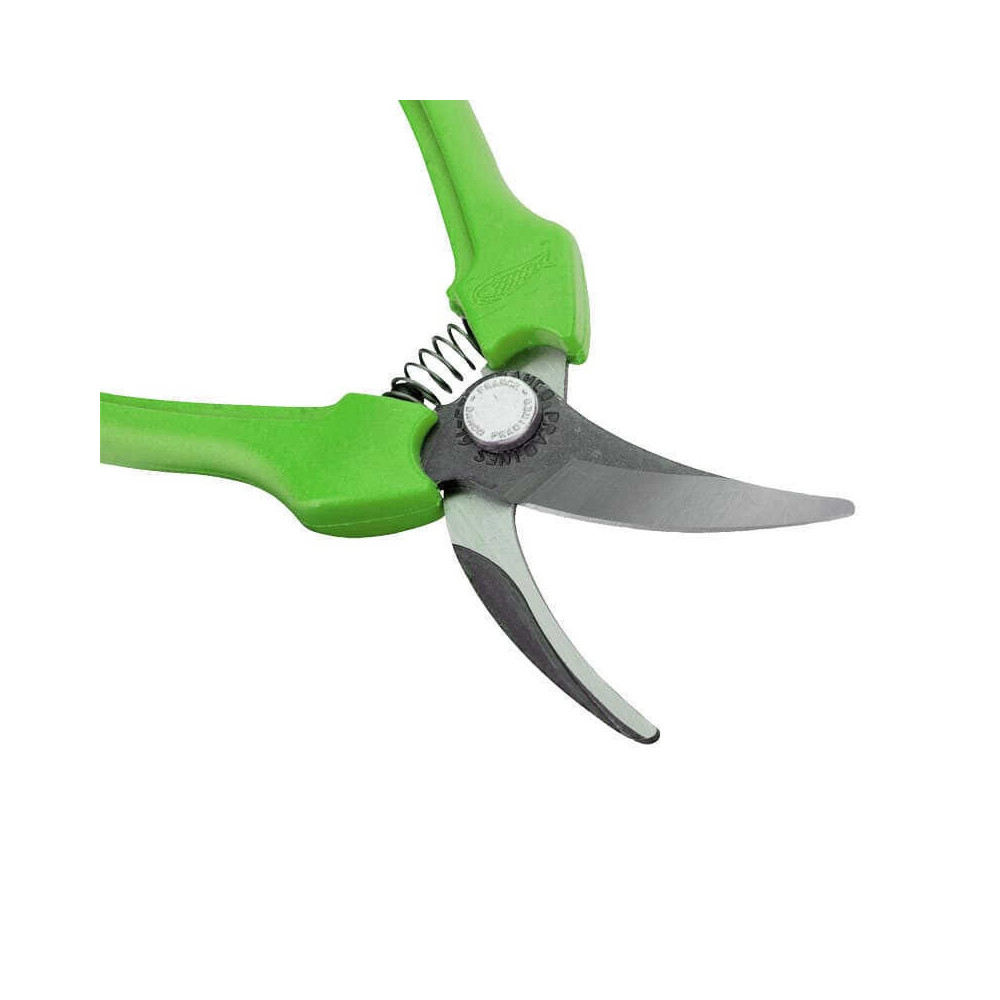 Sécateur de vendange Bahco P123-GREEN-B6