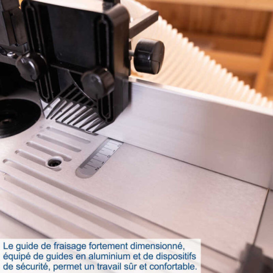 Fraiseuse sur table 1500 W Scheppach HF50 4902103924