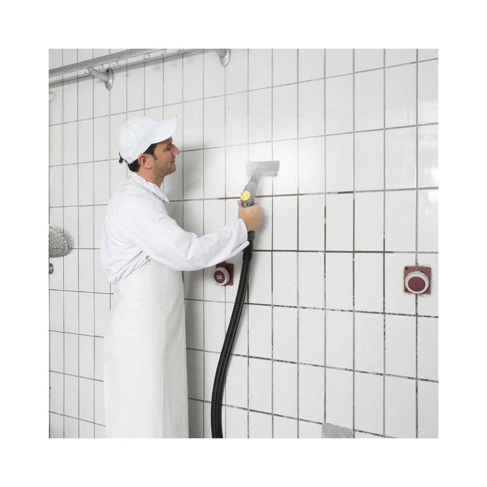 Aspirateur vapeur Kärcher SGV 8/5 10920100