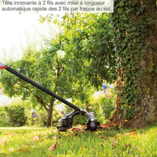 Débroussailleuse Scheppach 5910707903