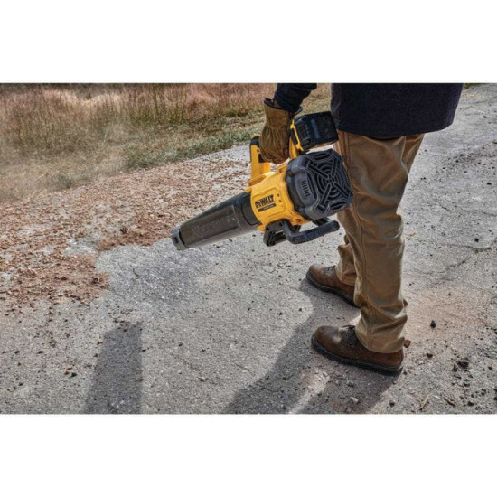 Souffleur DeWalt DCMBL562H2-QW 18V 2 batteries 5 Ah