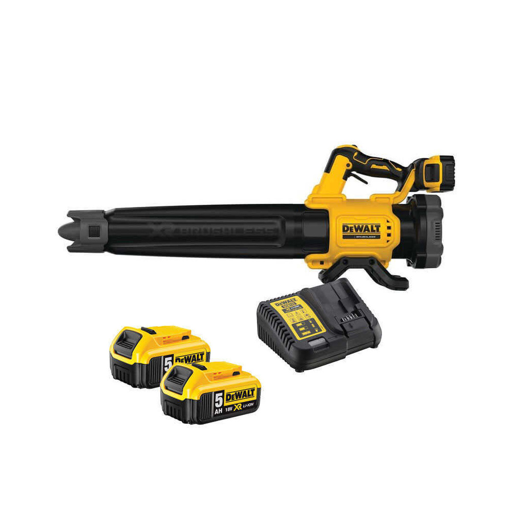 Souffleur DeWalt DCMBL562P2-QW 18V 2 batteries 5,0 Ah