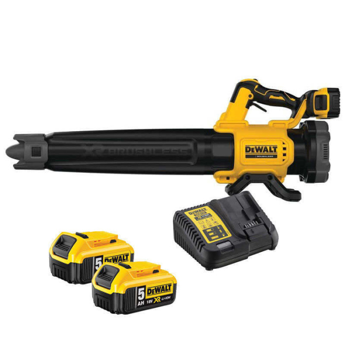Souffleur DeWalt DCMBL562P2-QW 18V 2 batteries 5,0 Ah