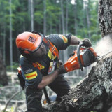 Tronçonneuse thermique Husqvarna 560XP