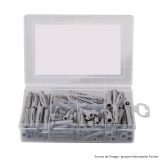 Coffret de chevilles Fischer 513893 - Meister-Box UX - 110 pièces