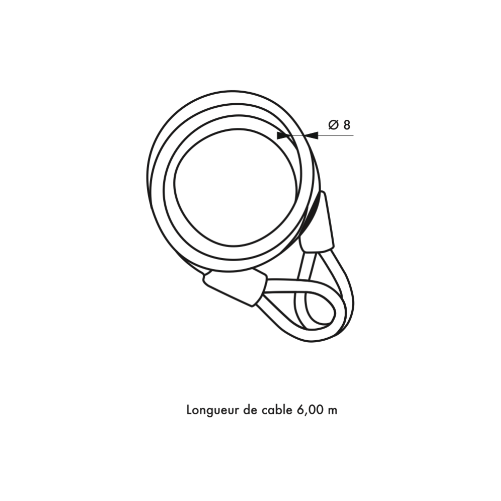 Câble antivol Ø 8 mm longueur 6,00 m Thirard 308600