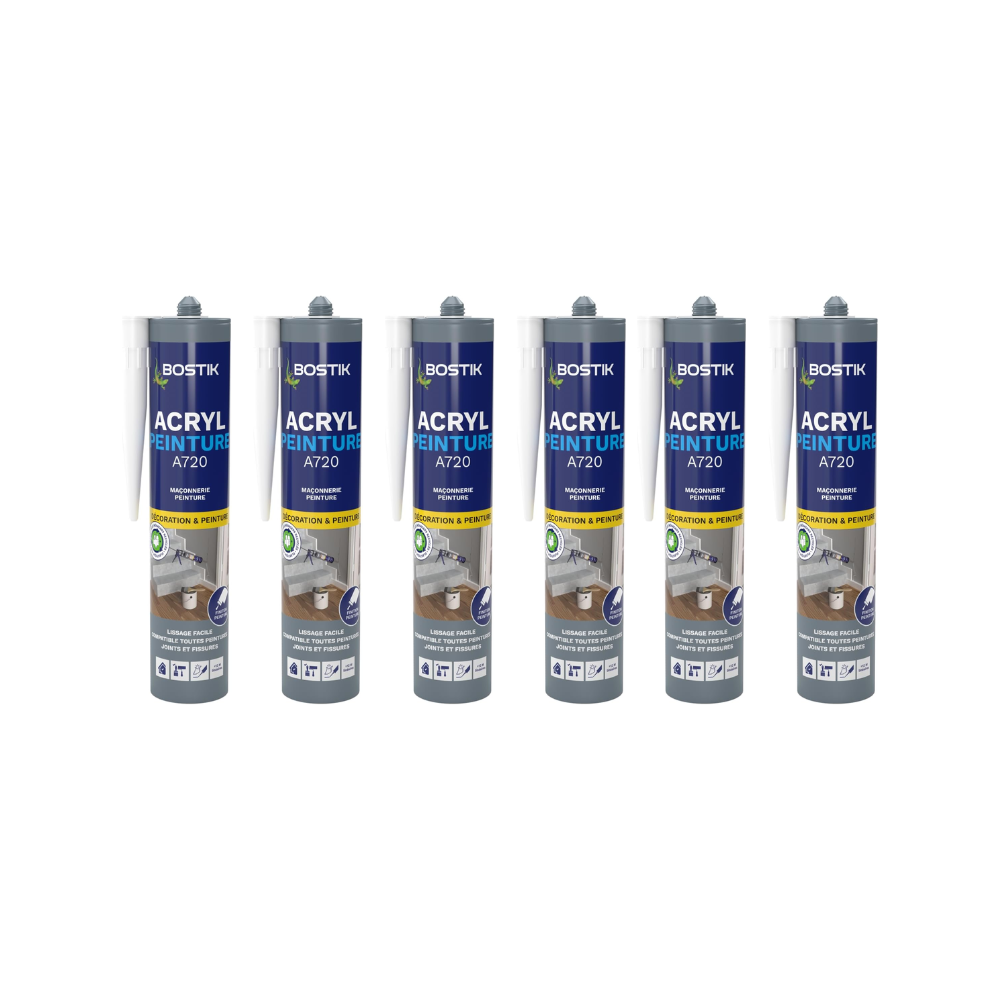 Mastic acrylique peignable Bostik ACRYL-PEINTURE-BLCx6 lot de 6
