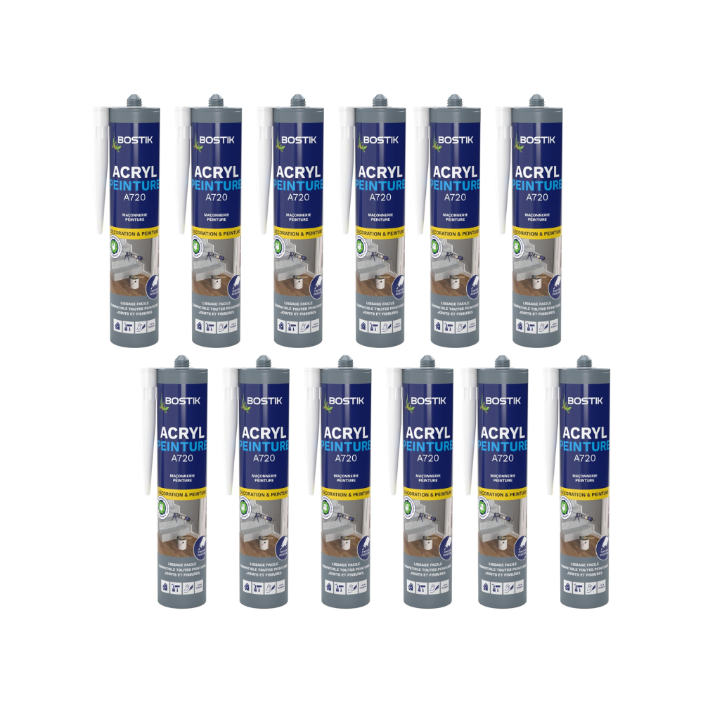 Mastic acrylique peignable Bostik ACRYL-PEINTURE-BLCx12 lot de 12