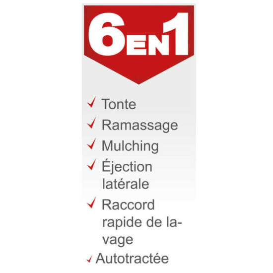 Tondeuse thermique Scheppach 5911244905 46 cm 150 cm3