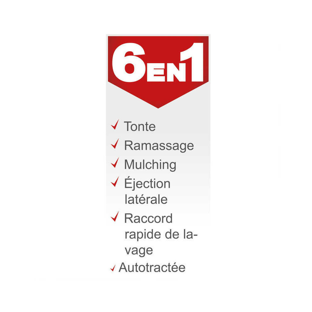 Tondeuse thermique Scheppach 5911244905 46 cm 150 cm3