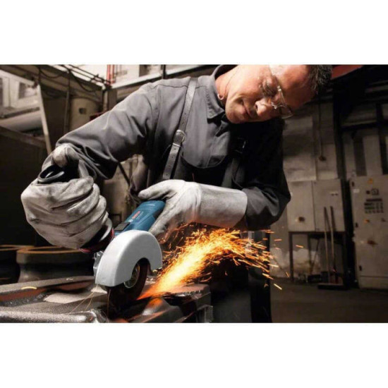 Meuleuse d'angle Bosch Professional GWS13-125CI(060179E002)